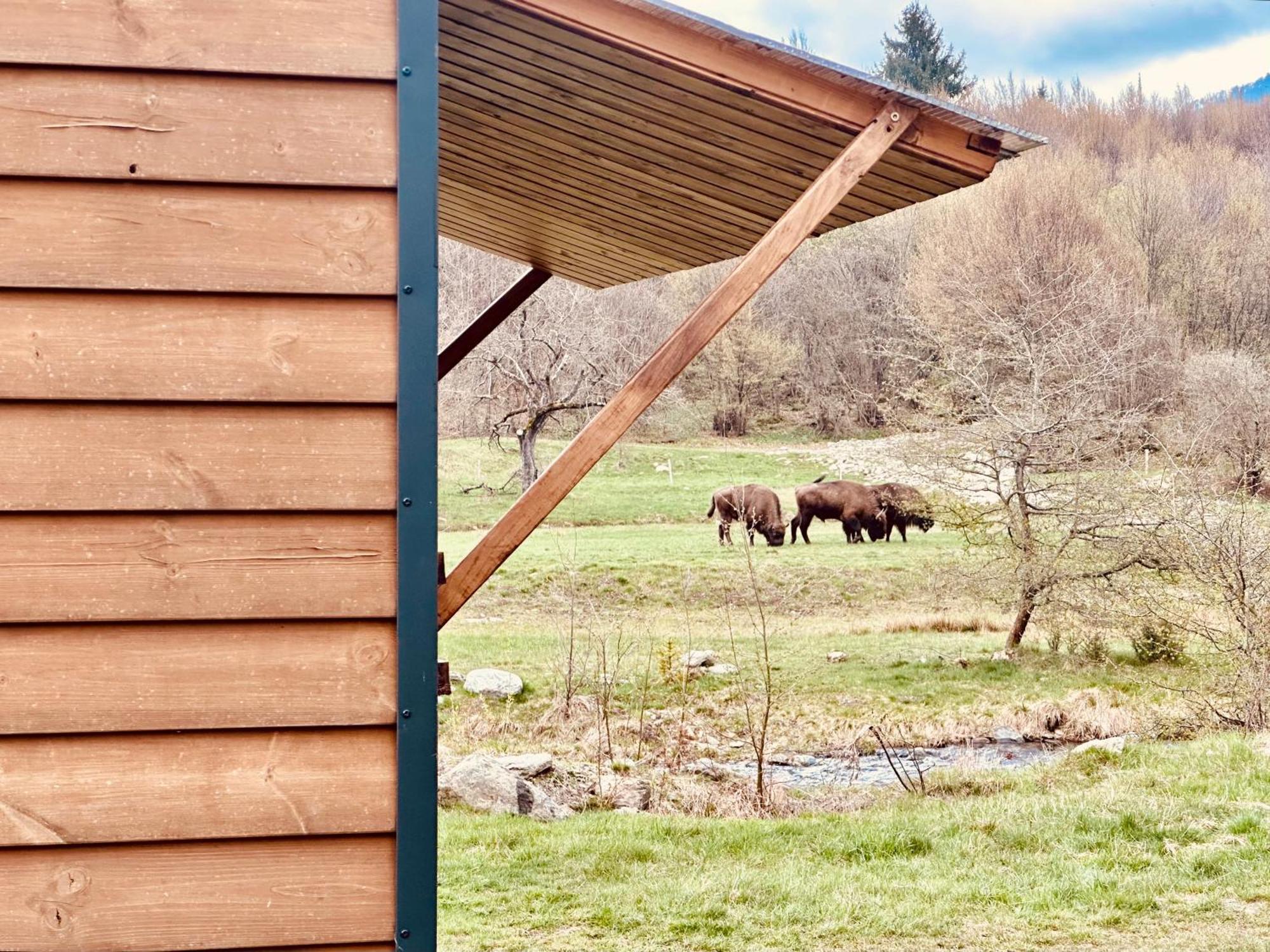 Tiny Home Dejani Zewnętrze zdjęcie