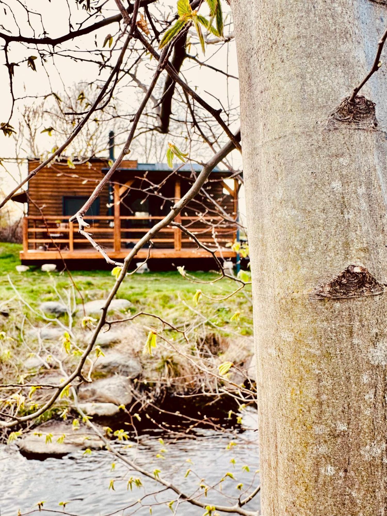 Tiny Home Dejani Zewnętrze zdjęcie