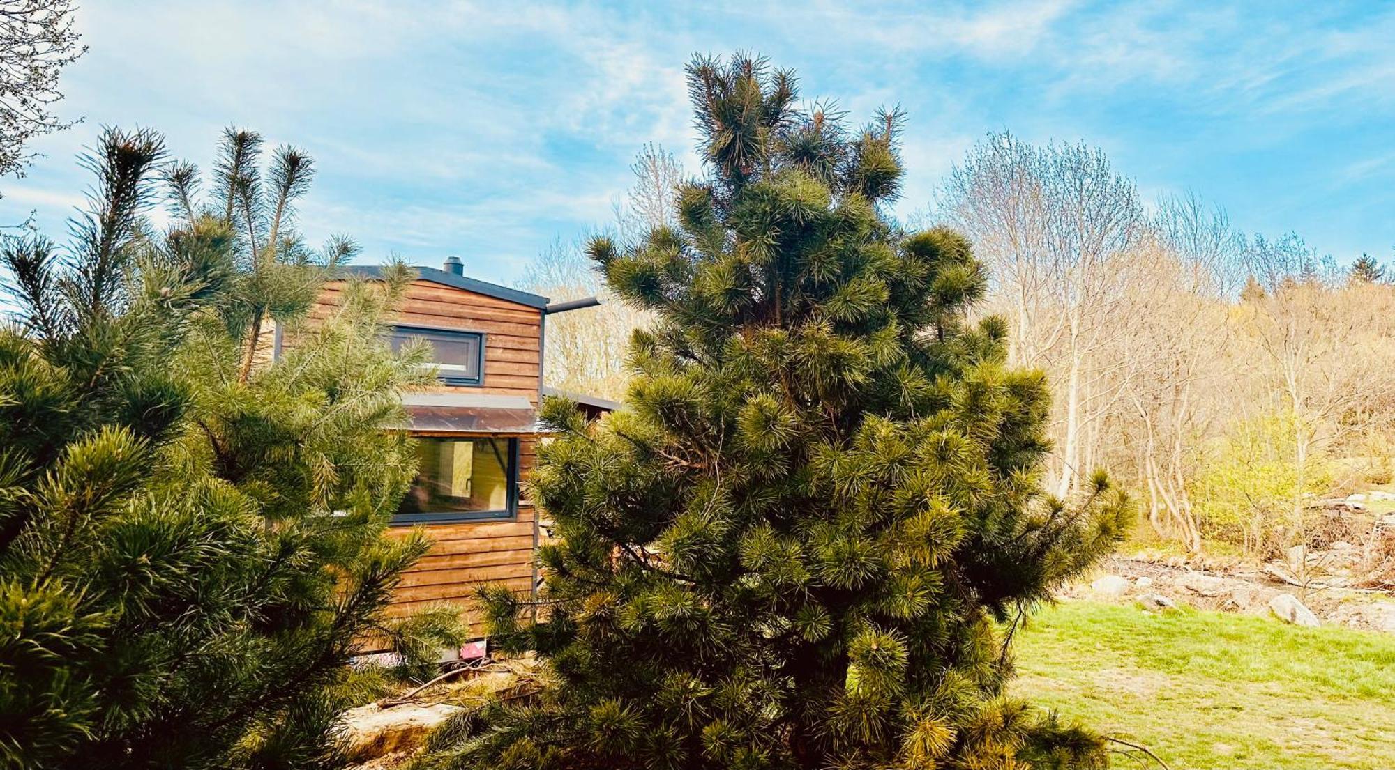 Tiny Home Dejani Zewnętrze zdjęcie